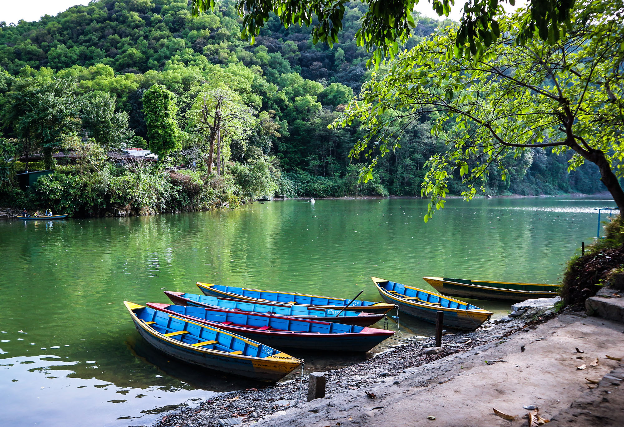 Pokhara