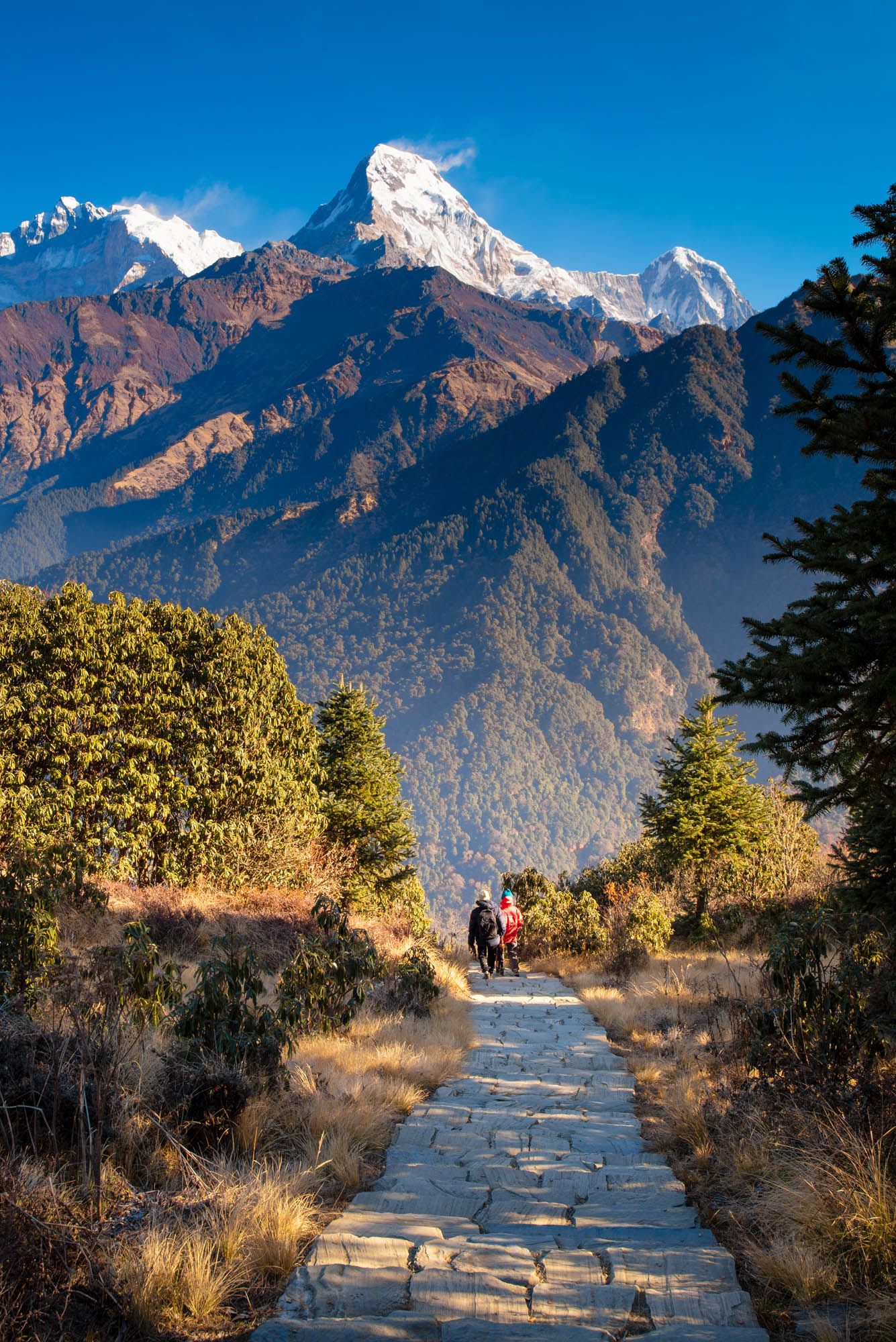 Ghandruk Village Trekking